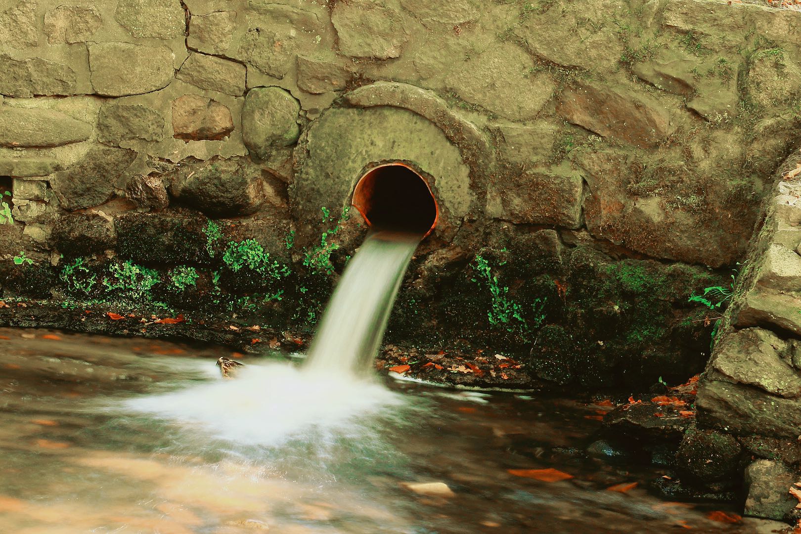 Environmental Products